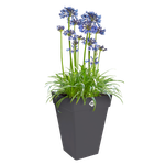 loft urban eckig hoch 37cm anthrazit